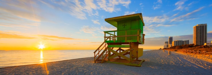 Choosing the Right Movers for Your California to Florida Transition