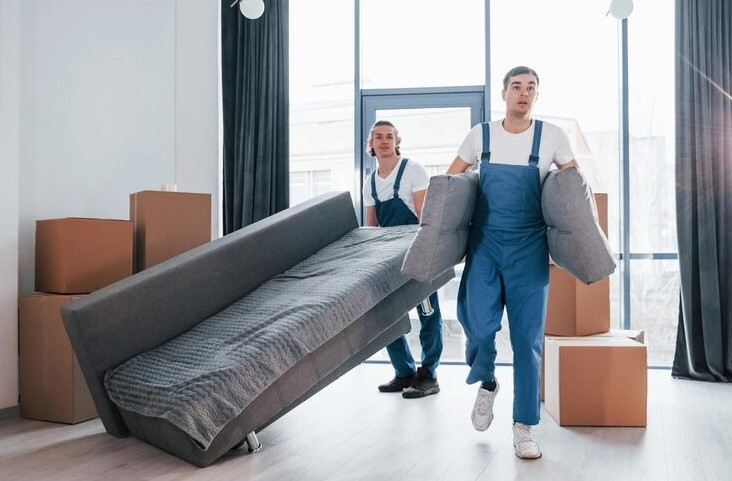 How to choose furniture Movers